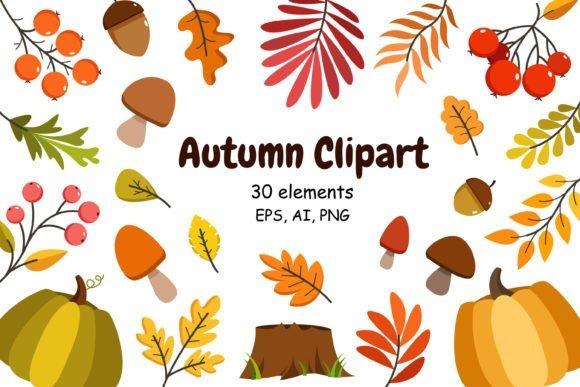 Fall Clipart featuring 30 vector elements including leaves, acorns, mushrooms, pumpkins, and berries in autumn colors