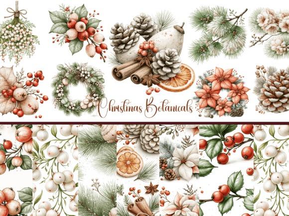 Christmas Clipart featuring watercolor botanical elements like pine cones, berries, poinsettias, and greenery for elegant