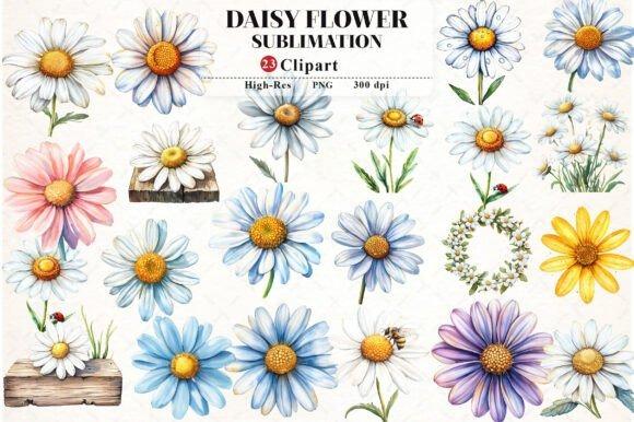Flower Clipart featuring 23 watercolor daisy and wildflower designs with transparent backgrounds