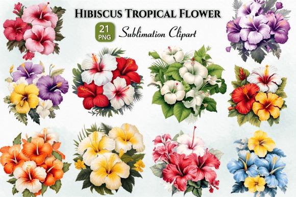 Best flower clipart sets for shirts mugs crafts featuring hibiscus tropical flower clipart with 21 PNGs and transparent