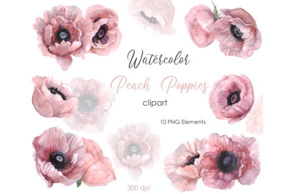 Watercolor flower clipart set featuring 10 peach poppy elements with transparent backgrounds