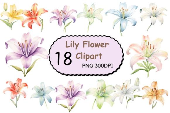 Watercolor lily flower clipart collection with 18 transparent PNG images in soft pastel colors