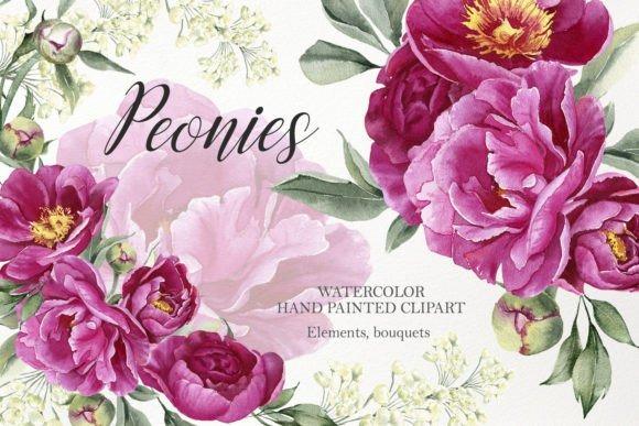 Watercolor peony flower clipart with hand-painted pink and burgundy peonies and green leaves