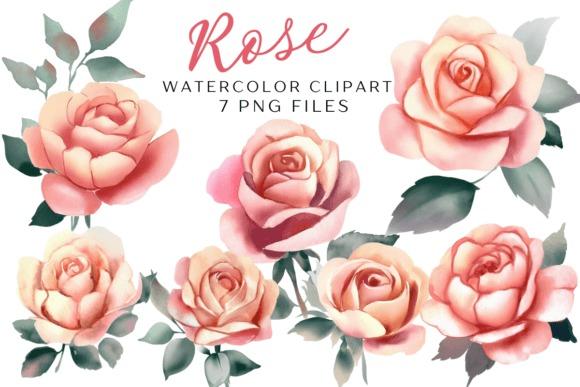 Watercolor rose flower clipart set with seven separate transparent PNG files featuring soft pink and peach roses with green