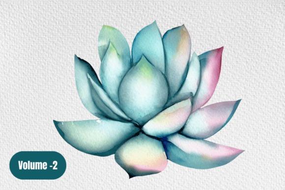 Watercolor succulent clipart with soft blue and pink hues on transparent background — Flower Clipart