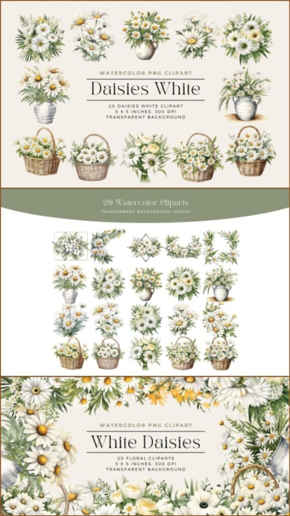 Watercolor white daisies flower clipart in various arrangements including bouquets and baskets, suitable for spring and