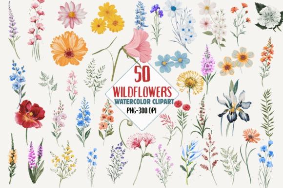 Wildflower watercolor flower clipart bundle with 50 separate floral PNG designs at 300 DPI