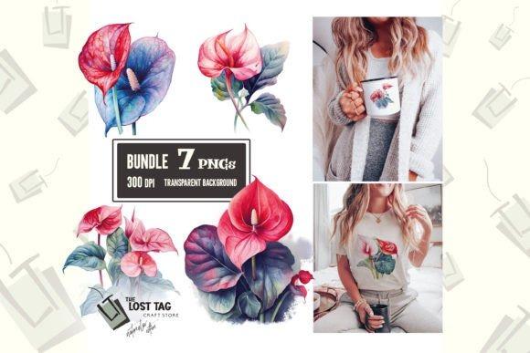 flower clipart featuring anthurium flowers in seven PNG files with transparent backgrounds